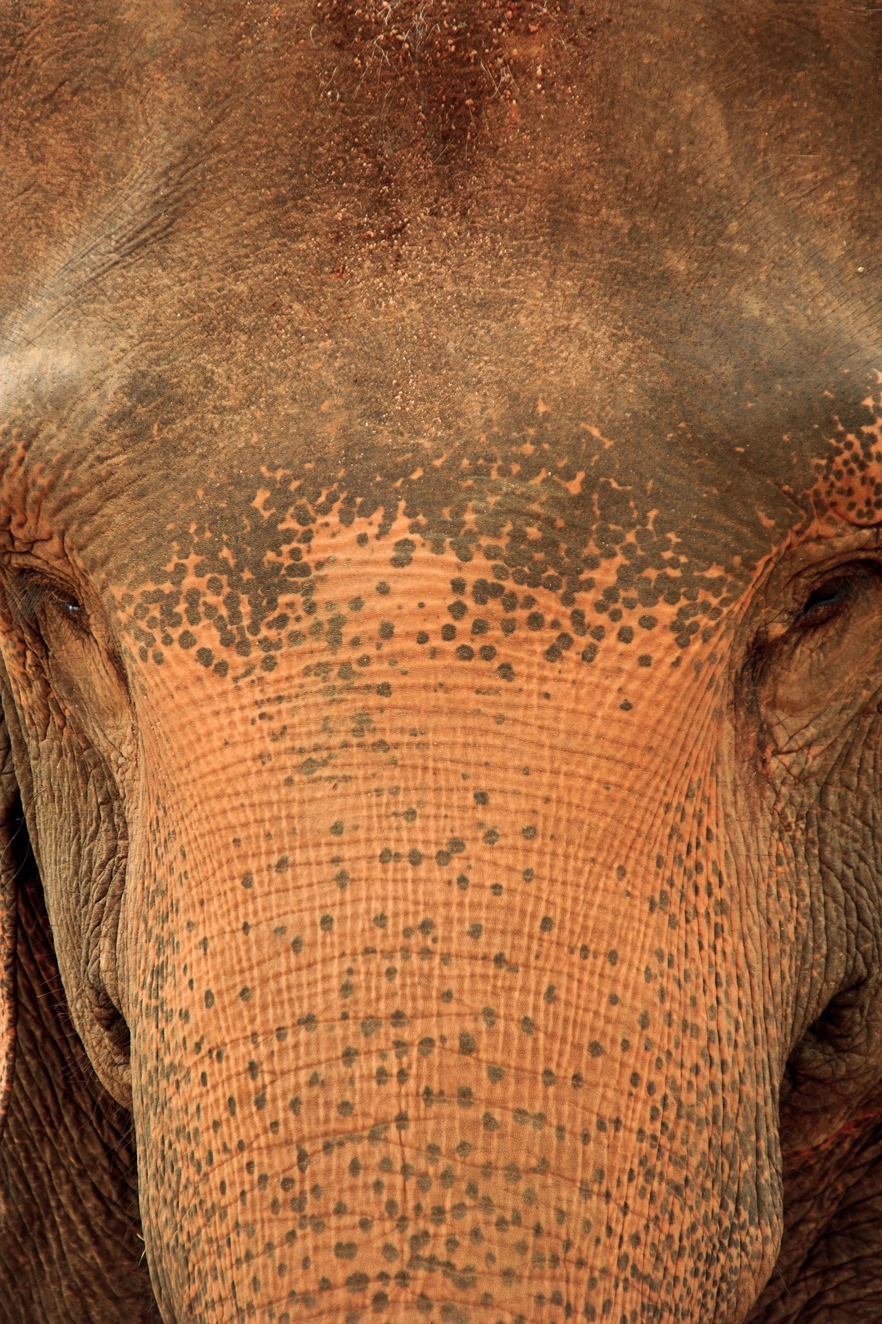 Wildlife and Nature Tours
